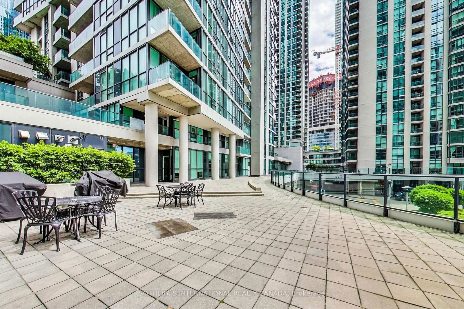 18 Harbour St, unit 3102 for rent