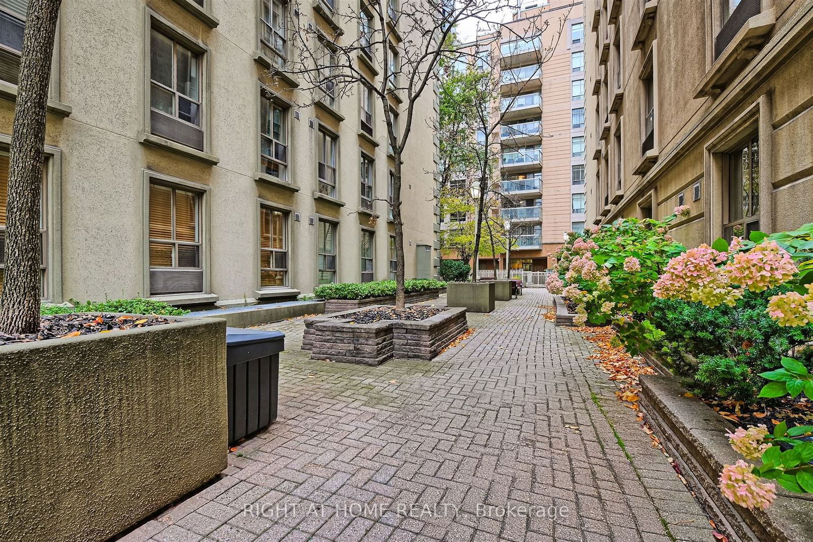 80 Charles St E, unit 505 for rent