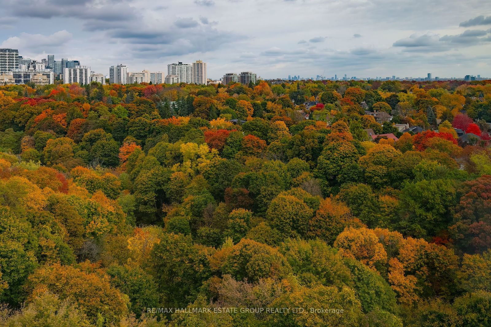 Avoca Vale, Midtown, Toronto