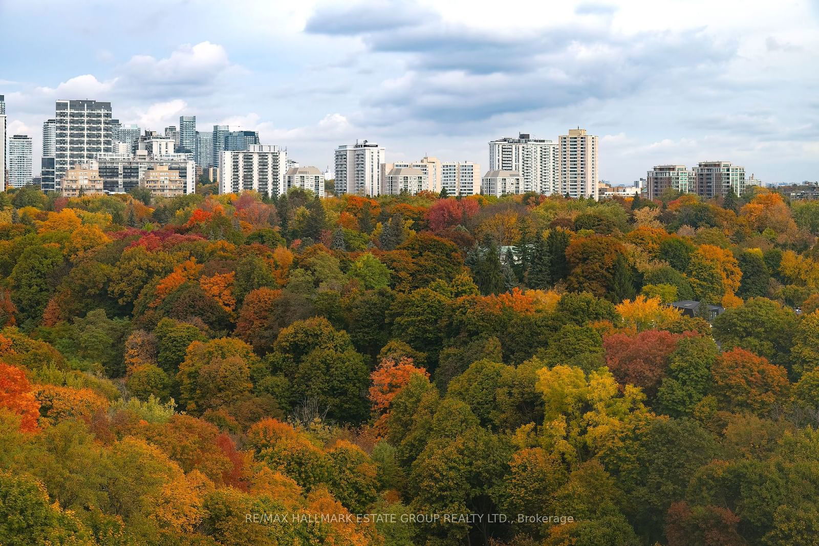 Avoca Vale, Midtown, Toronto