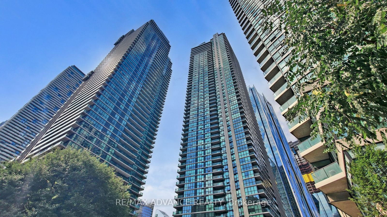 18 Harbour St, unit 3307 for rent