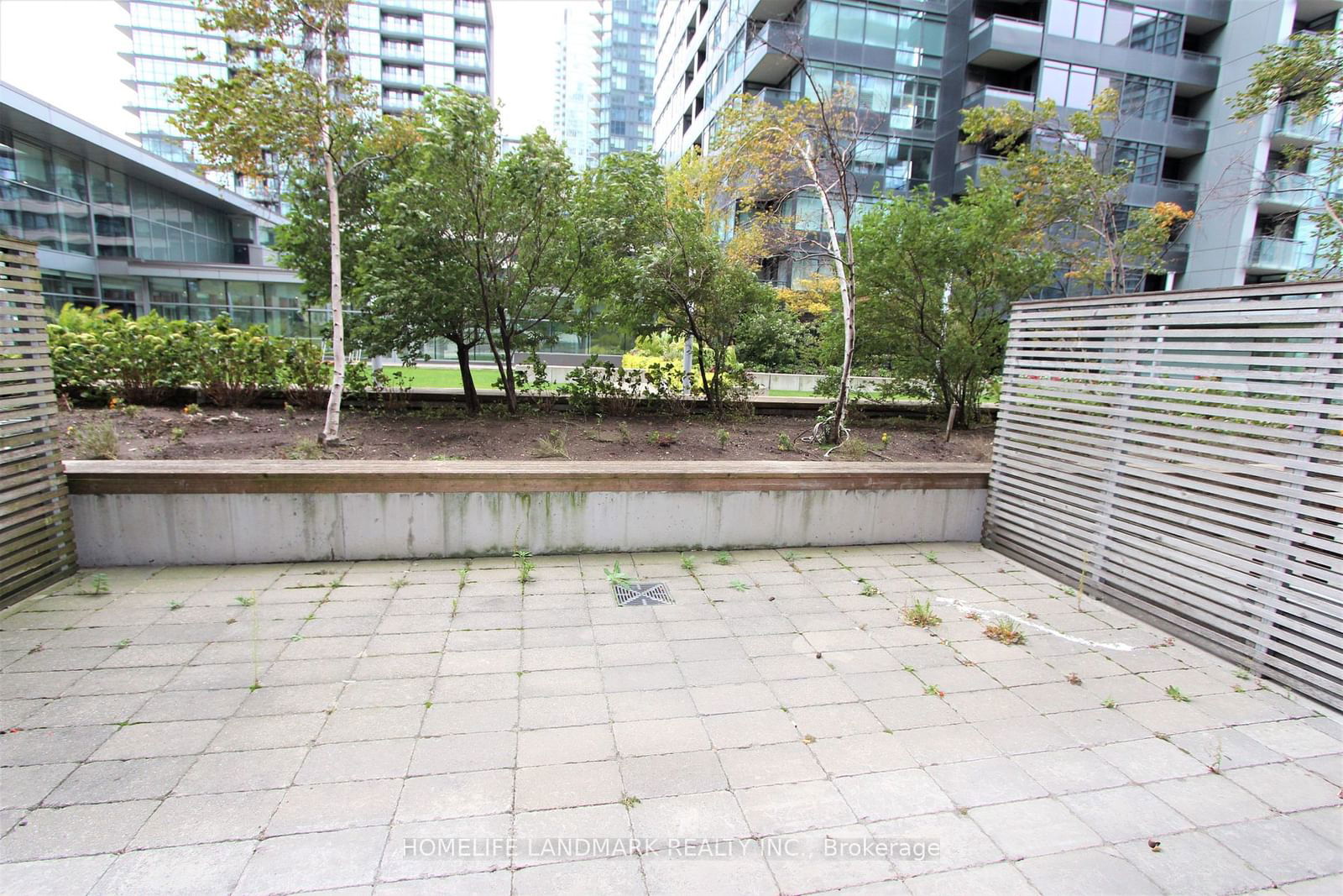 4K Spadina Ave, unit 225 for rent