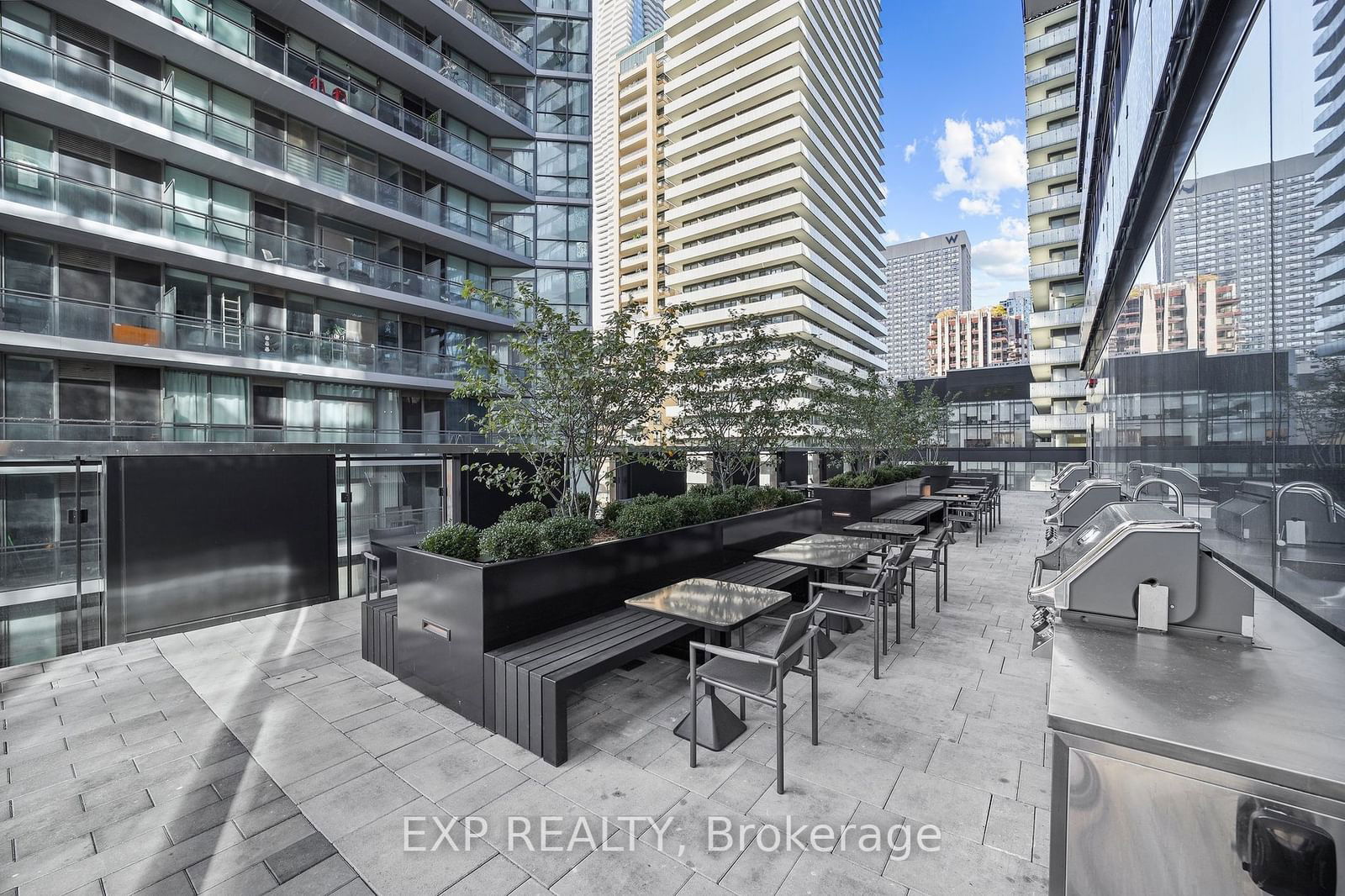 55 Charles St E, unit 1012 for rent