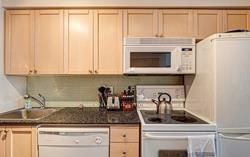 50 Lynn Williams St, unit 914 for rent