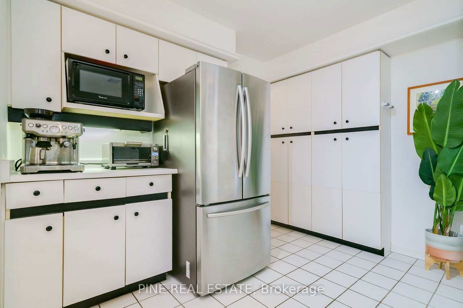 32 Massey St, unit B for rent