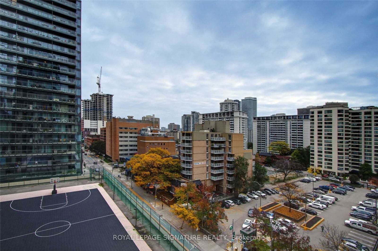 8 Wellesley St, unit 803 for rent