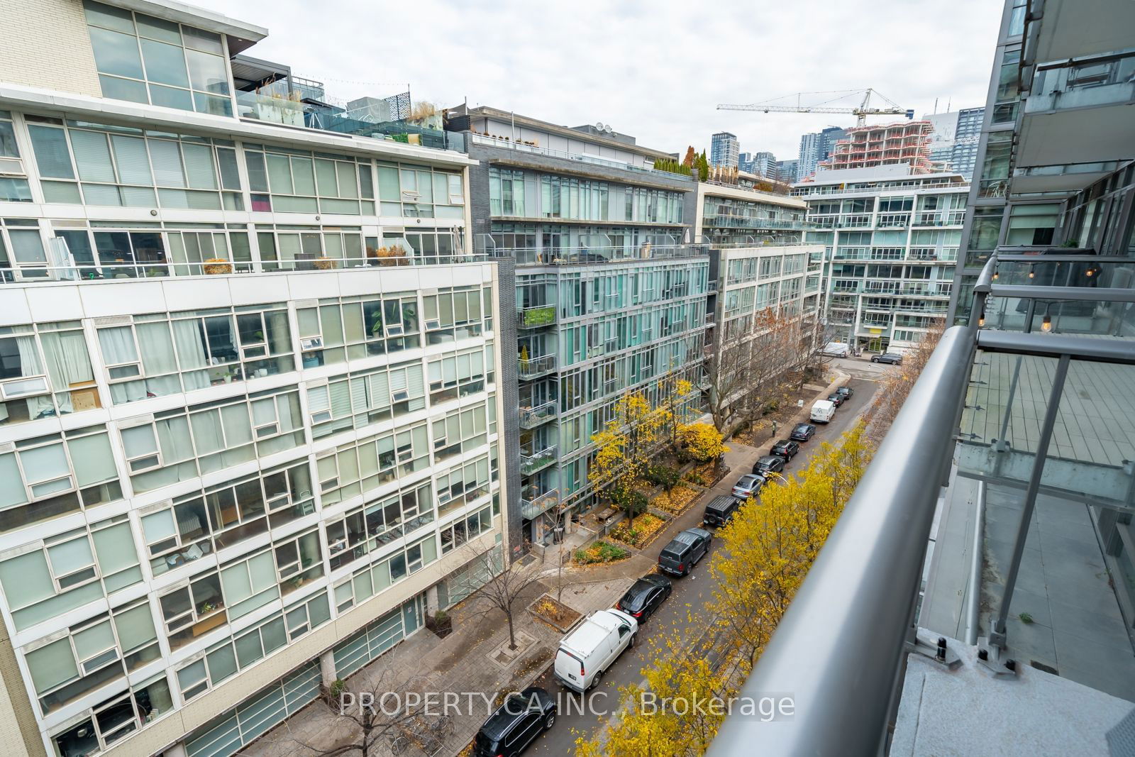 55 Stewart St, unit 817 for rent