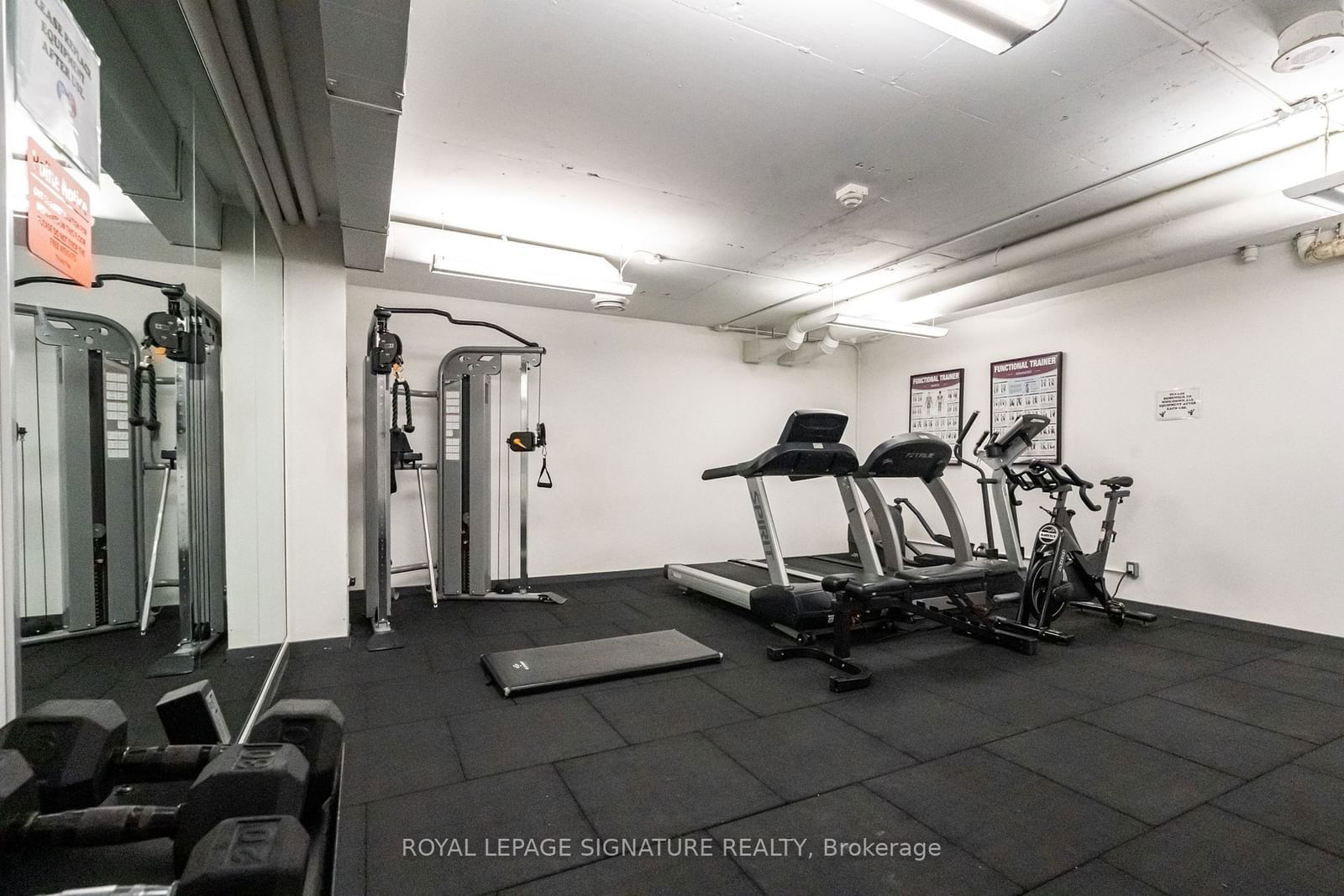 95 Bathurst St, unit 817 for rent