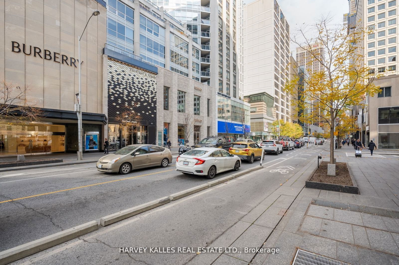 The Bloor Street Neighbourhood (BSN), Downtown, Toronto