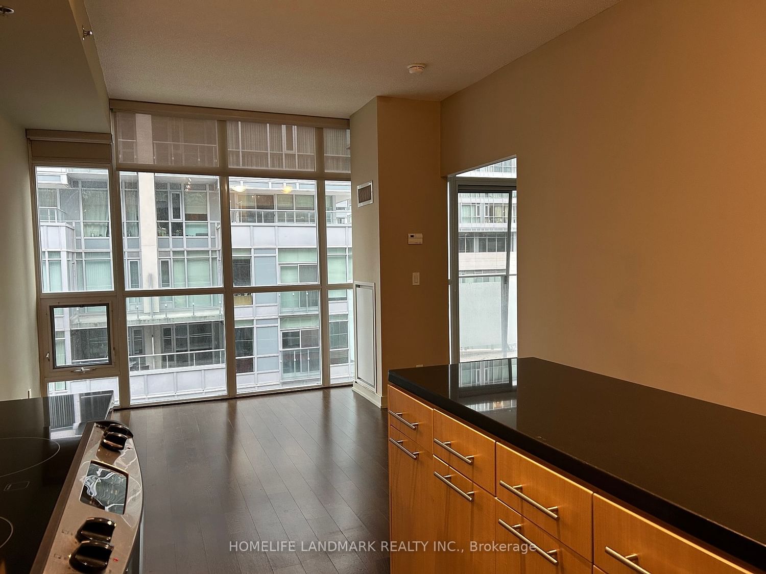 21 Nelson St, unit 1008 for rent