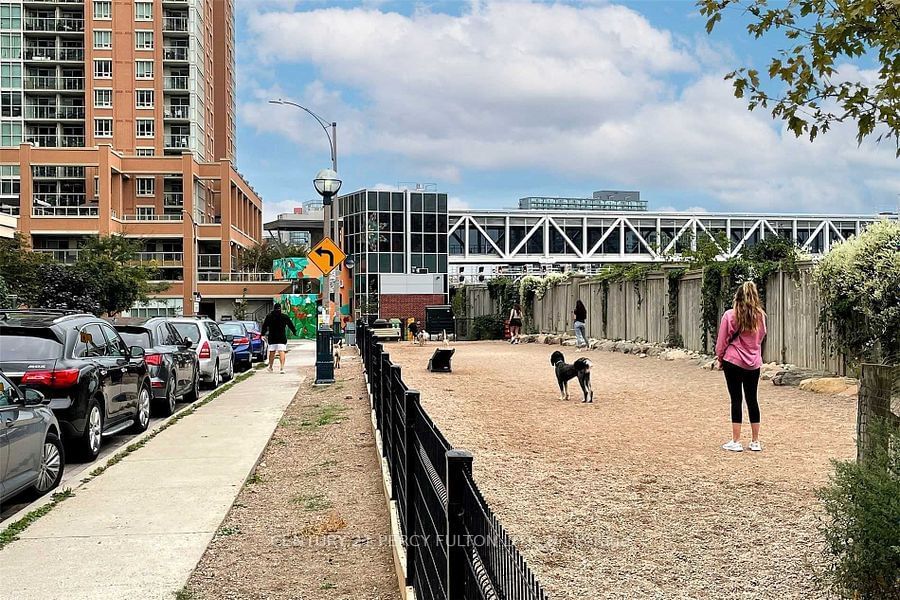 Vibe at Liberty Village, West End, Toronto