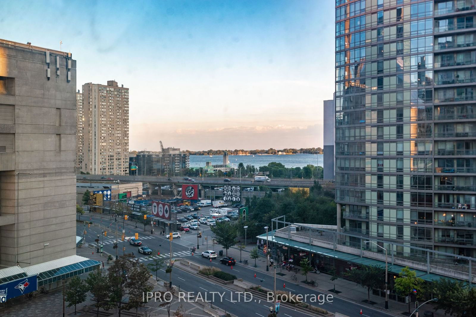 81 Navy Wharf Crt, unit 905 for rent