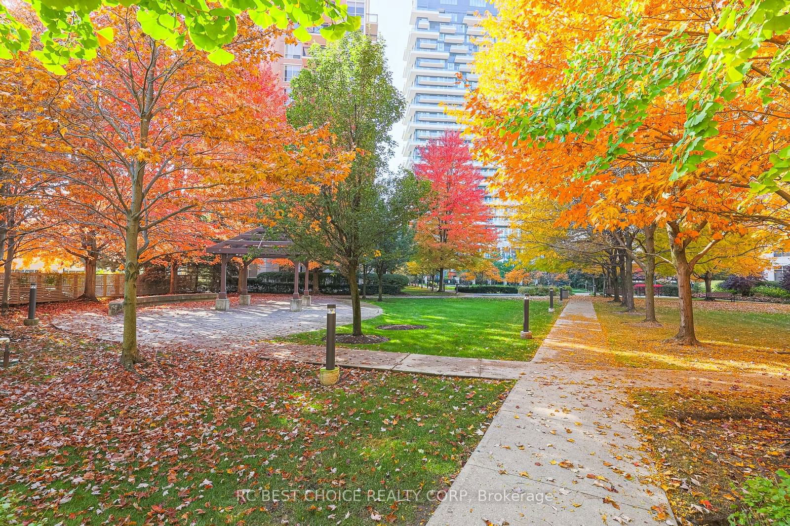 Carrington Place Condos, North York, Toronto