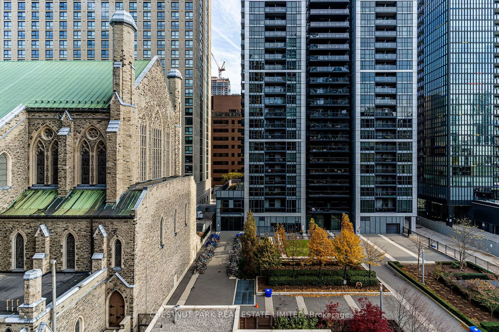 Bloor Walk, Downtown, Toronto