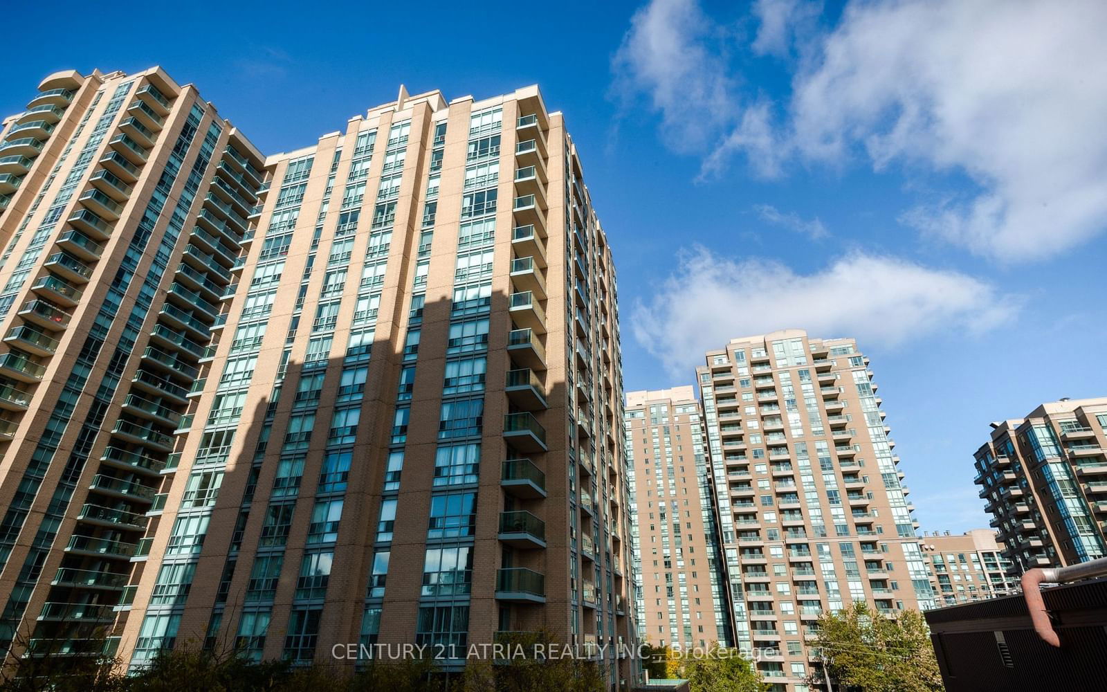 28 Olive Ave, unit 611 for rent