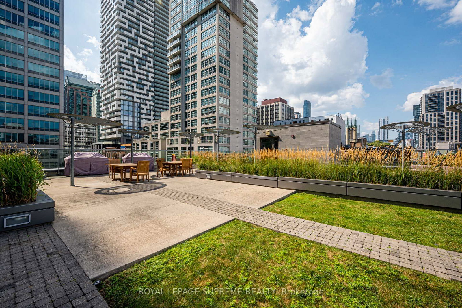 33 Lombard St, unit 1506 for rent