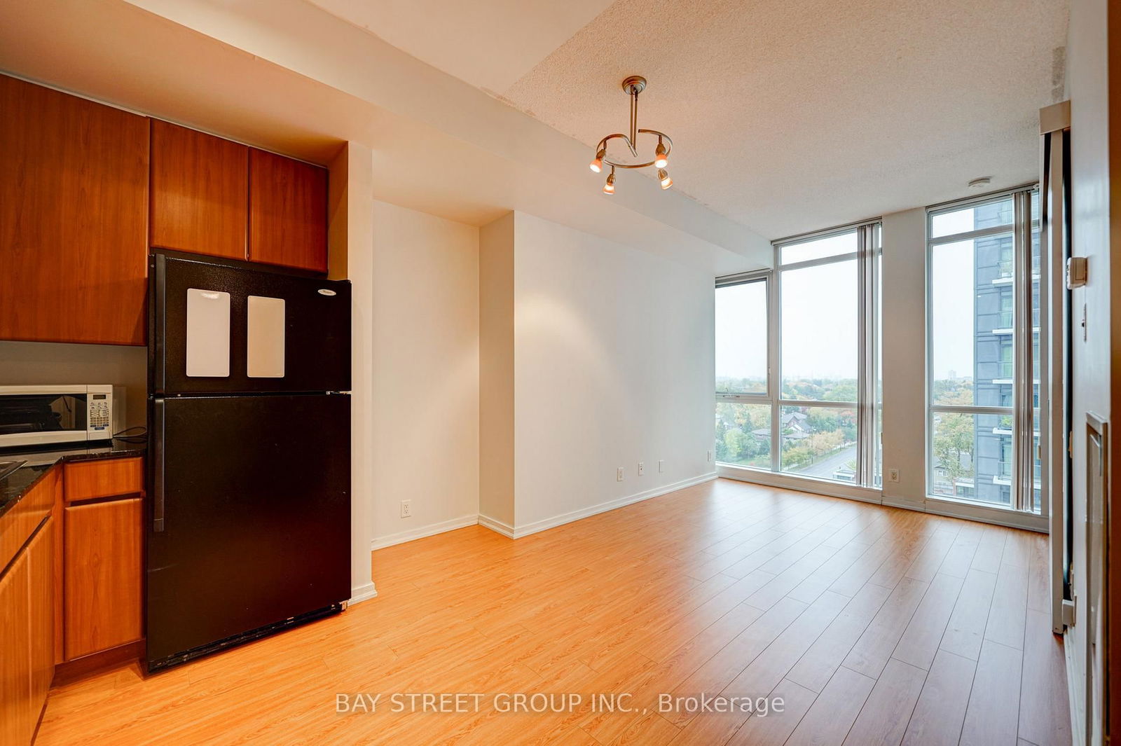 30 Canterbury Pl, unit 1203 for rent