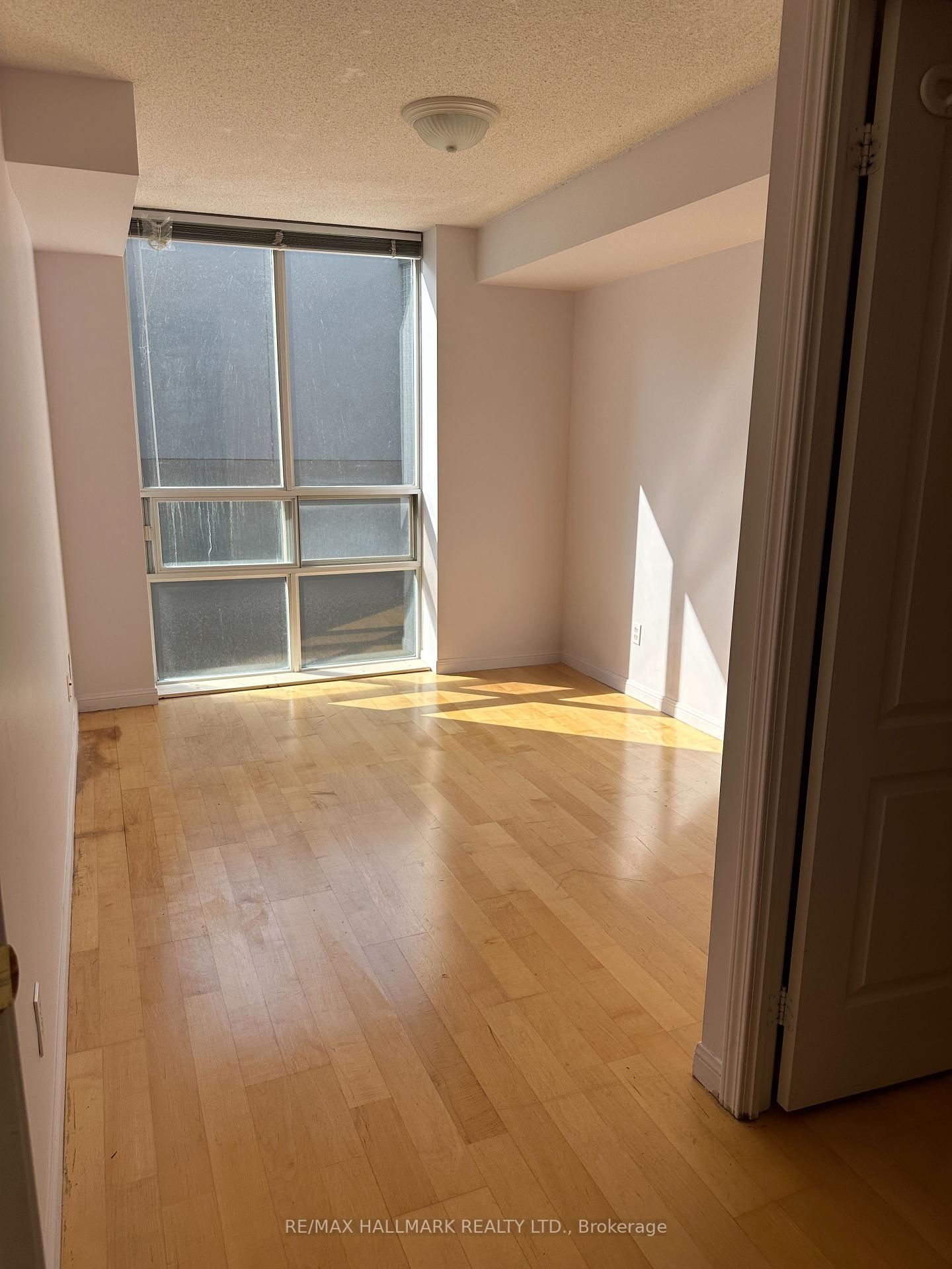 18 Stafford St, unit 809 for rent