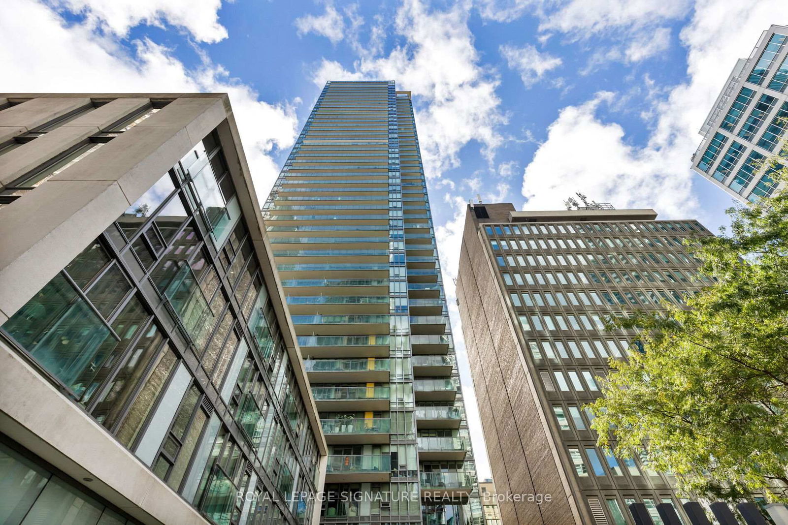 33 Lombard St, unit 2006 for sale