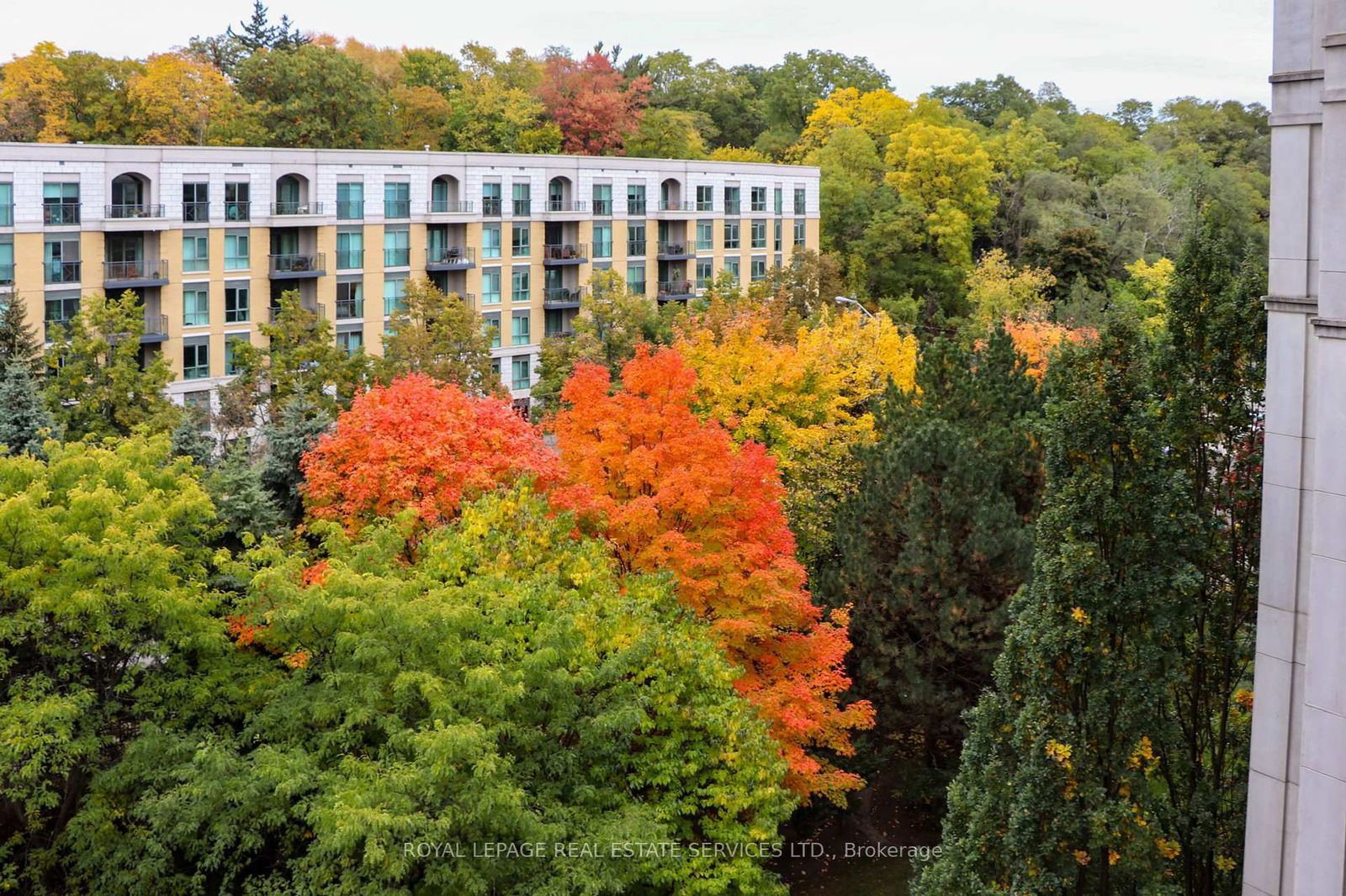 Hillside At York Mills Condos, North York, Toronto