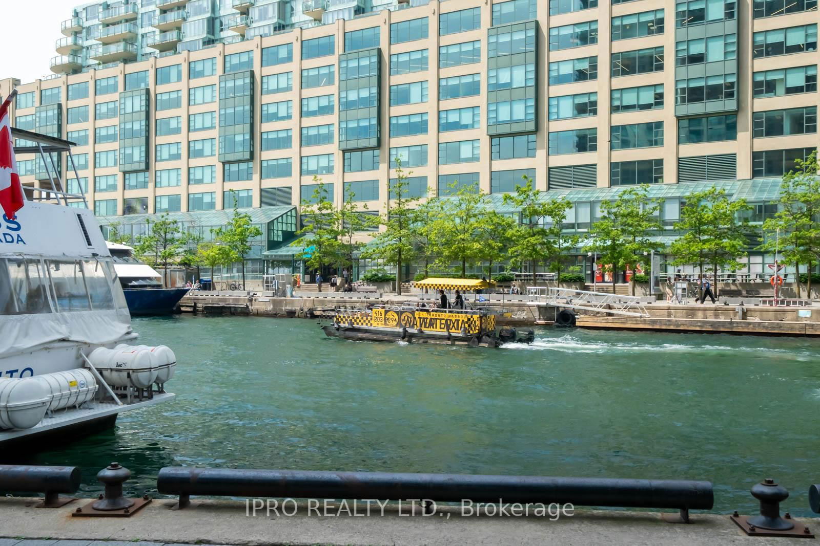 77 Harbour Sq, unit 308 for rent