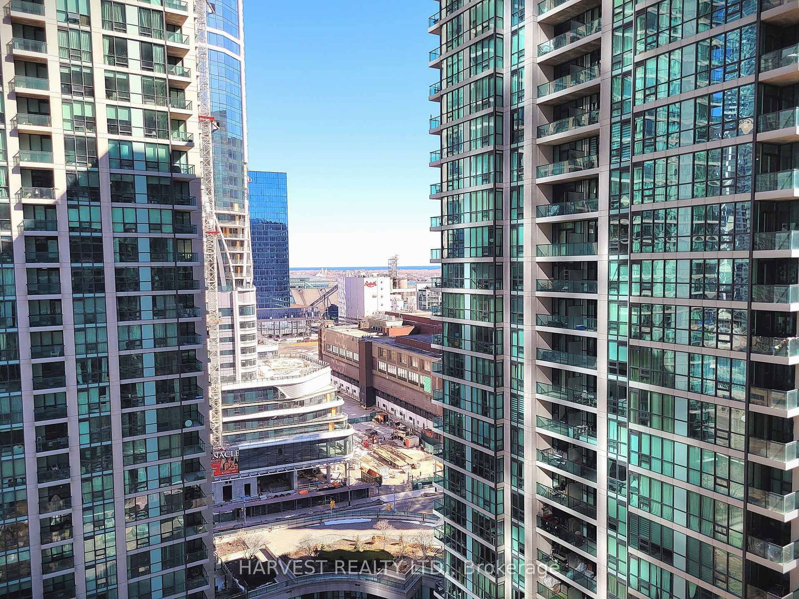 18 Harbour St, unit 1806 for rent