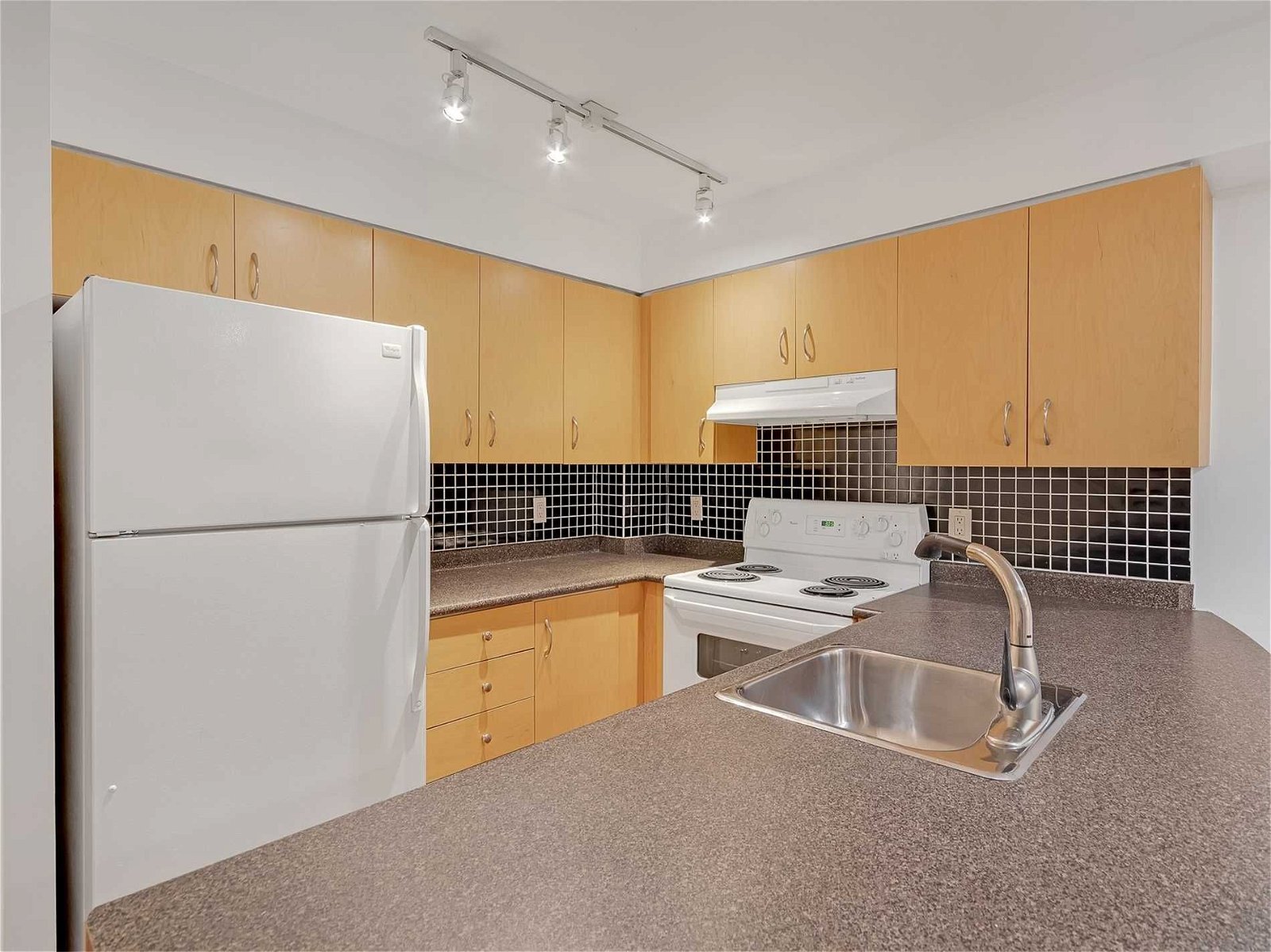 415 Jarvis St, unit 161 for rent - image #11
