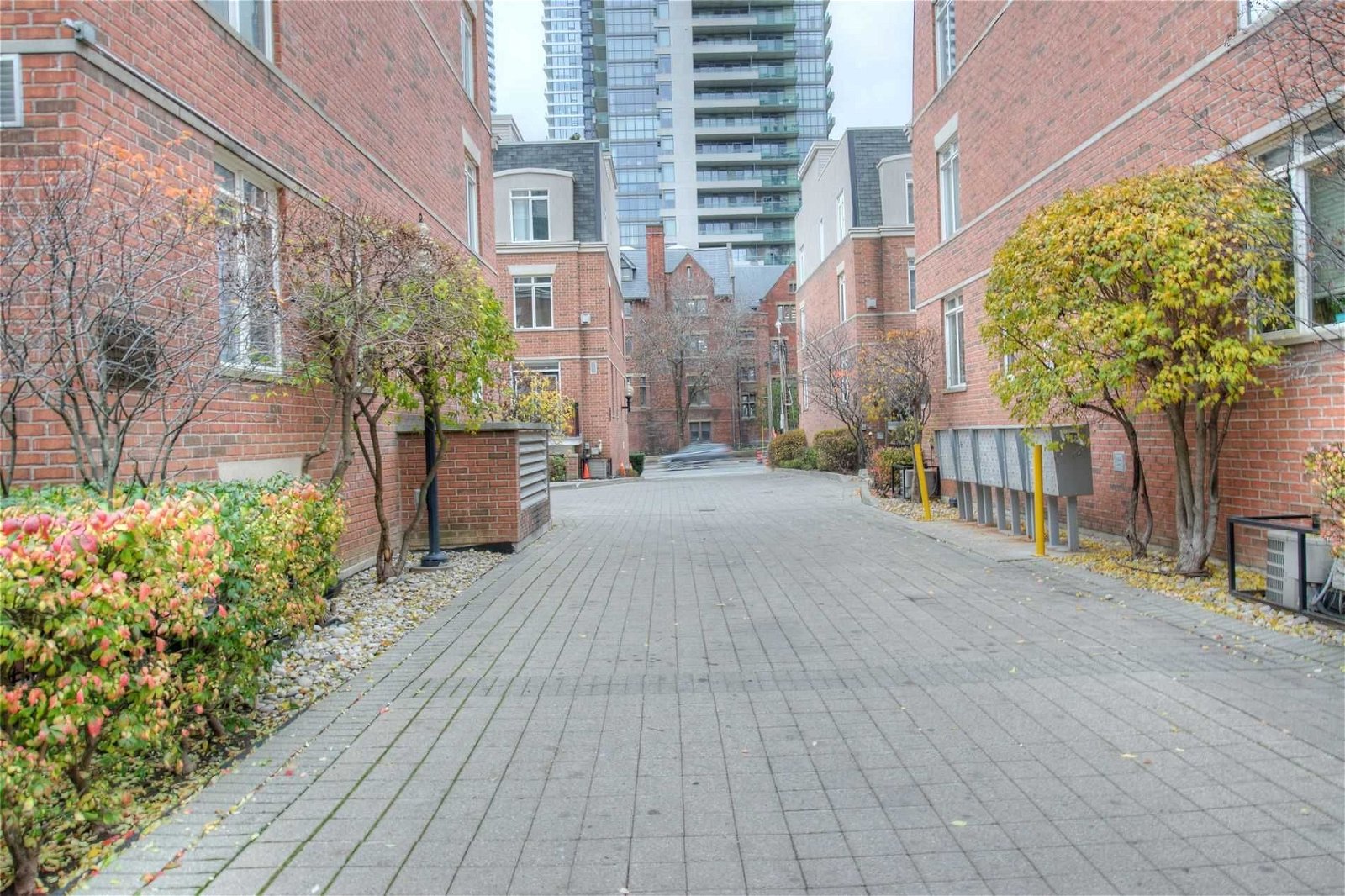 415 Jarvis St, unit 124 for rent - image #2
