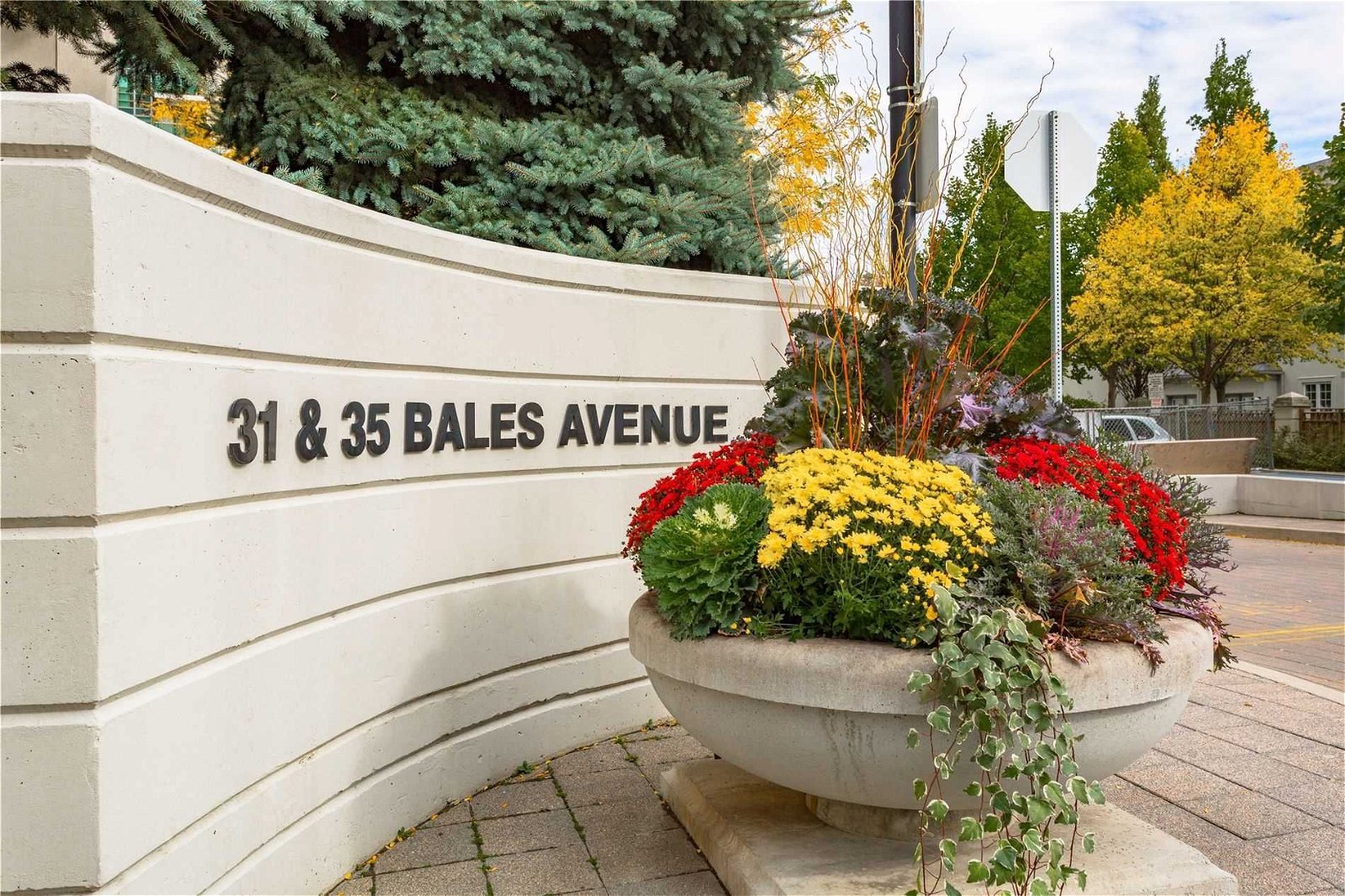 31 Bales Ave, unit 205 for rent - image #22