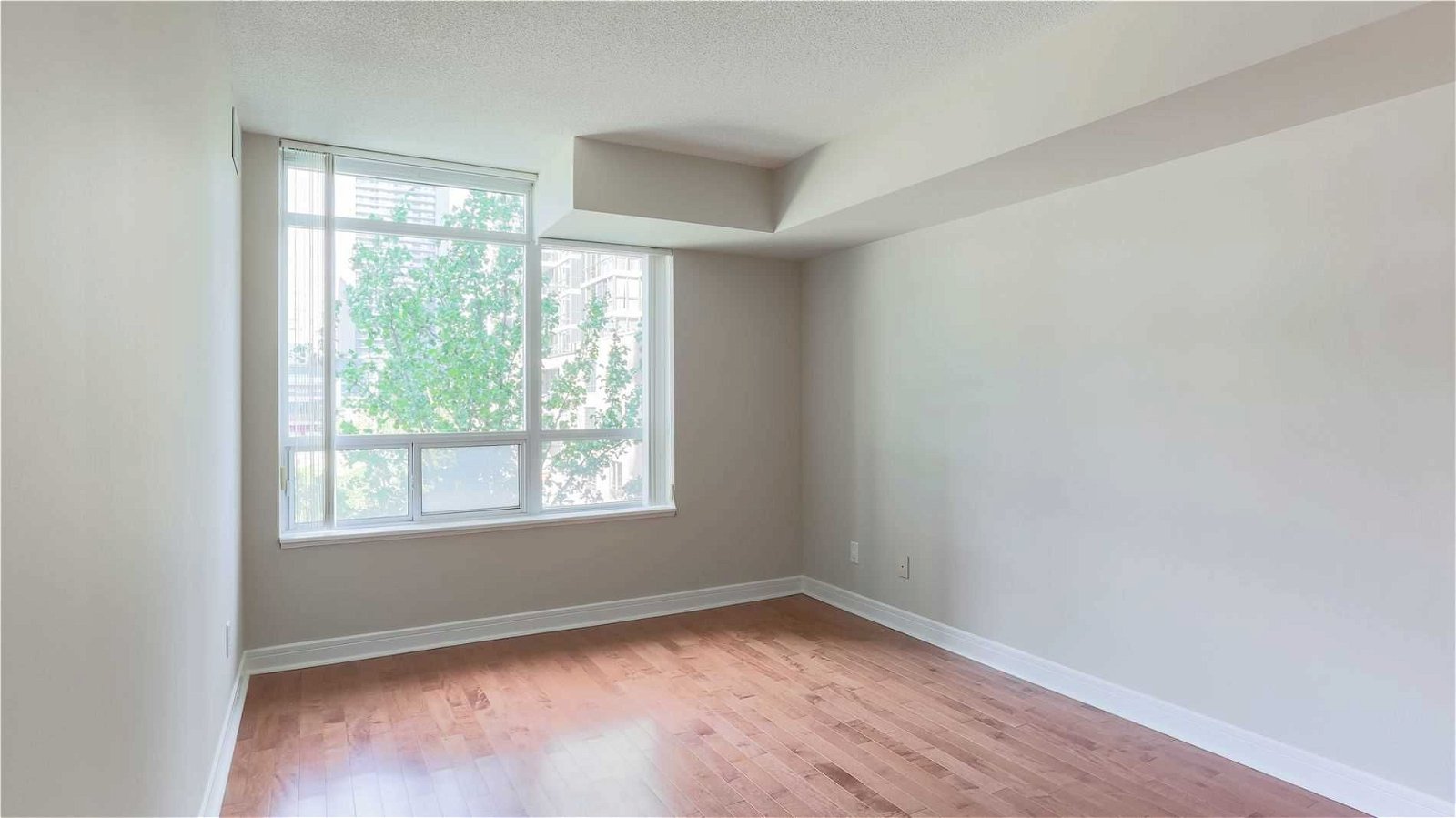 31 Bales Ave, unit 205 for rent - image #8