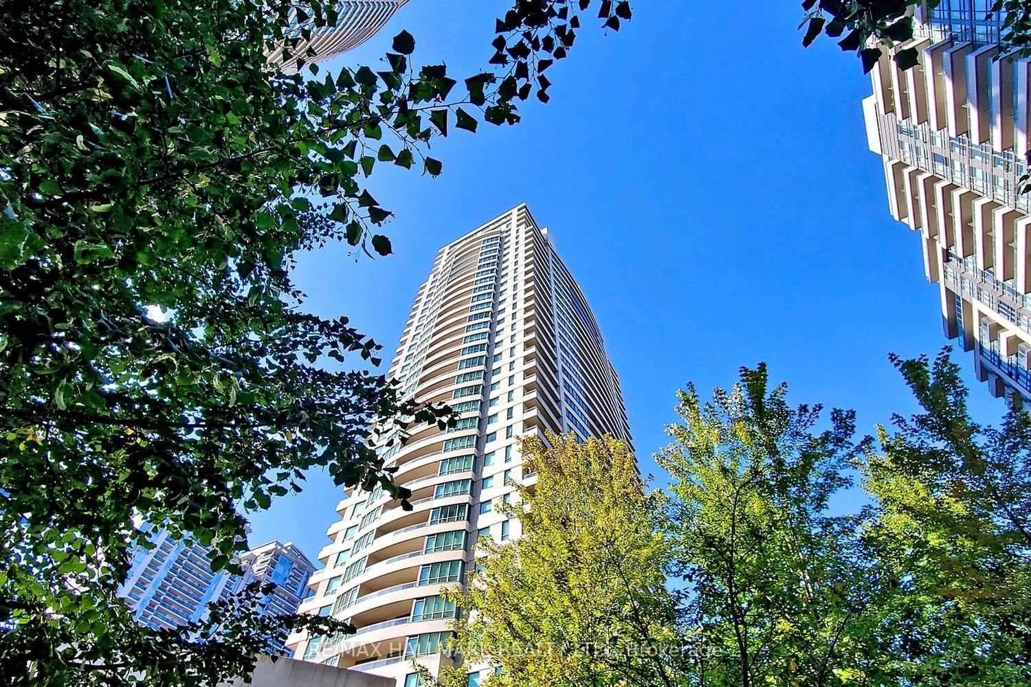 23 Hollywood Ave, unit 1809 for rent - image #2