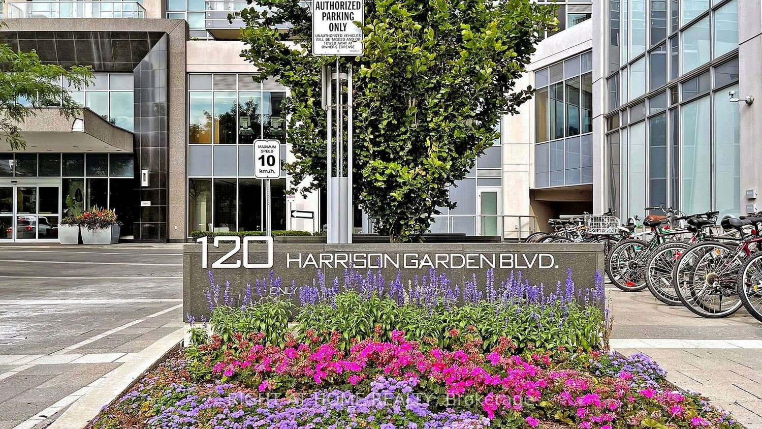 120 Harrison Garden Blvd, unit 618 for rent - image #4