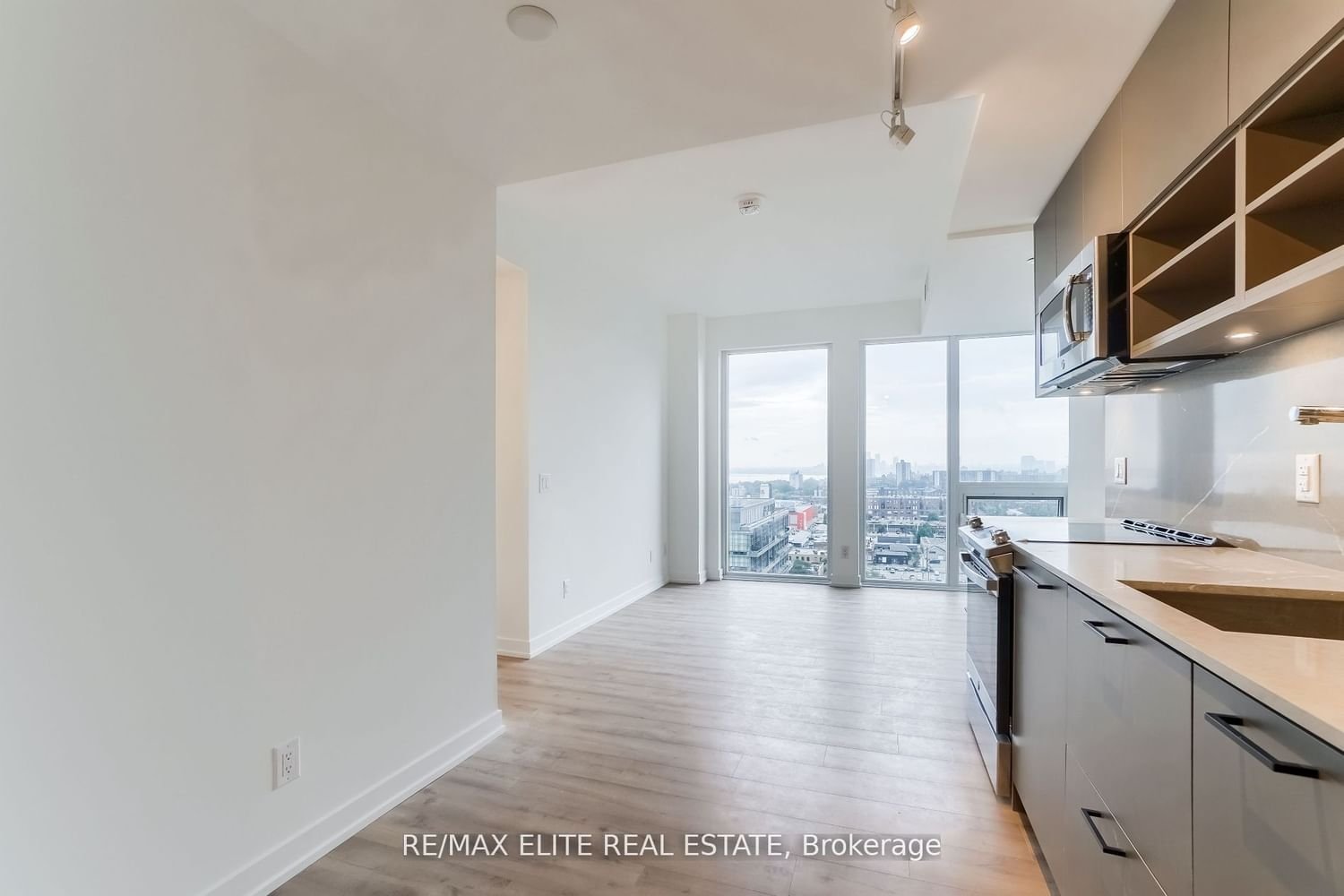 135 East Liberty St, unit 1003 for rent - image #4