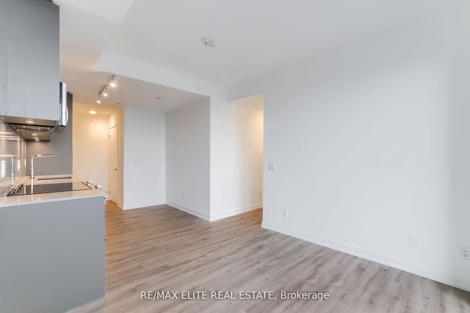135 East Liberty St, unit 1003 for rent - image #8