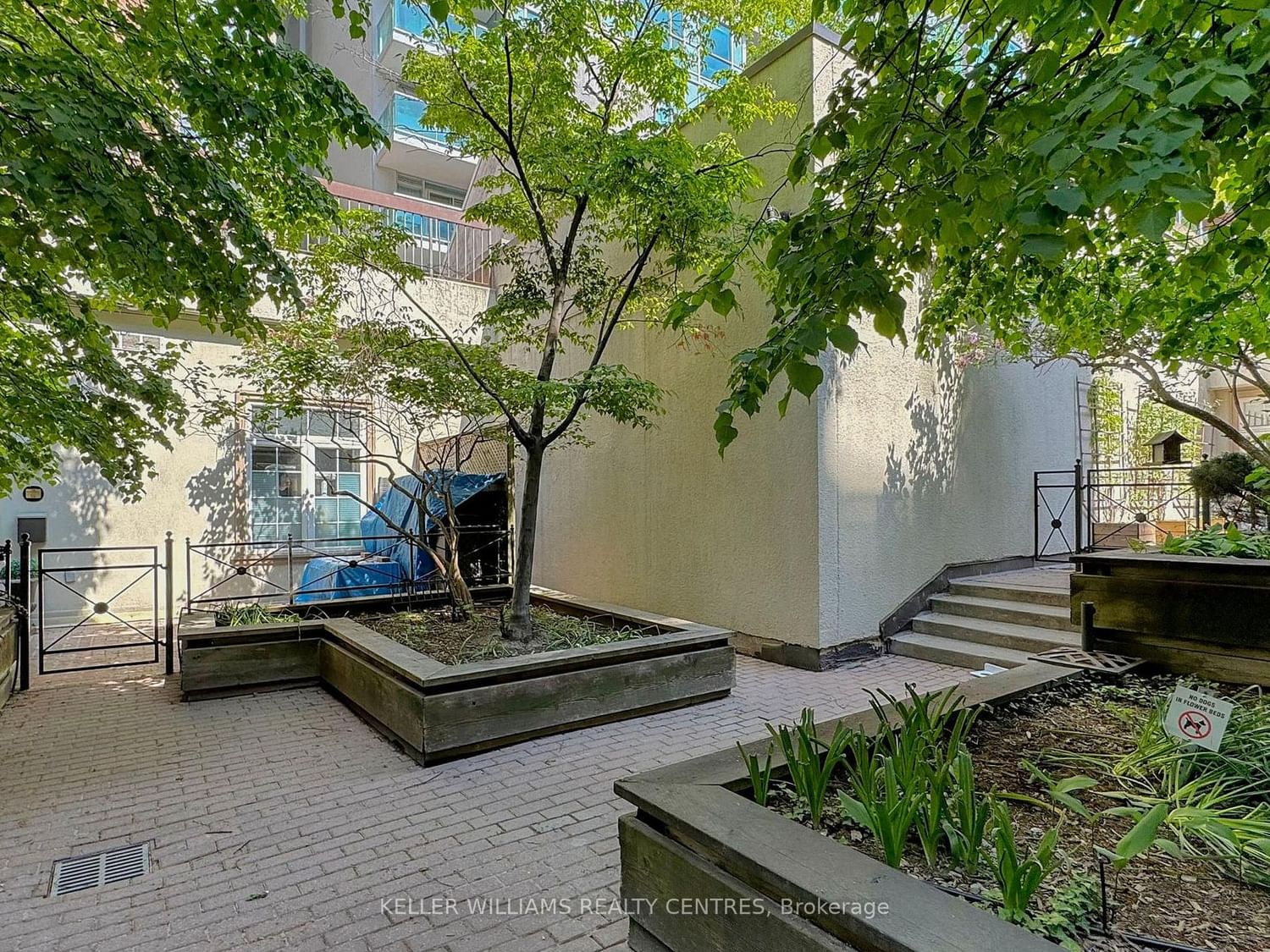 71 Mccaul St, unit 123 for sale - image #13