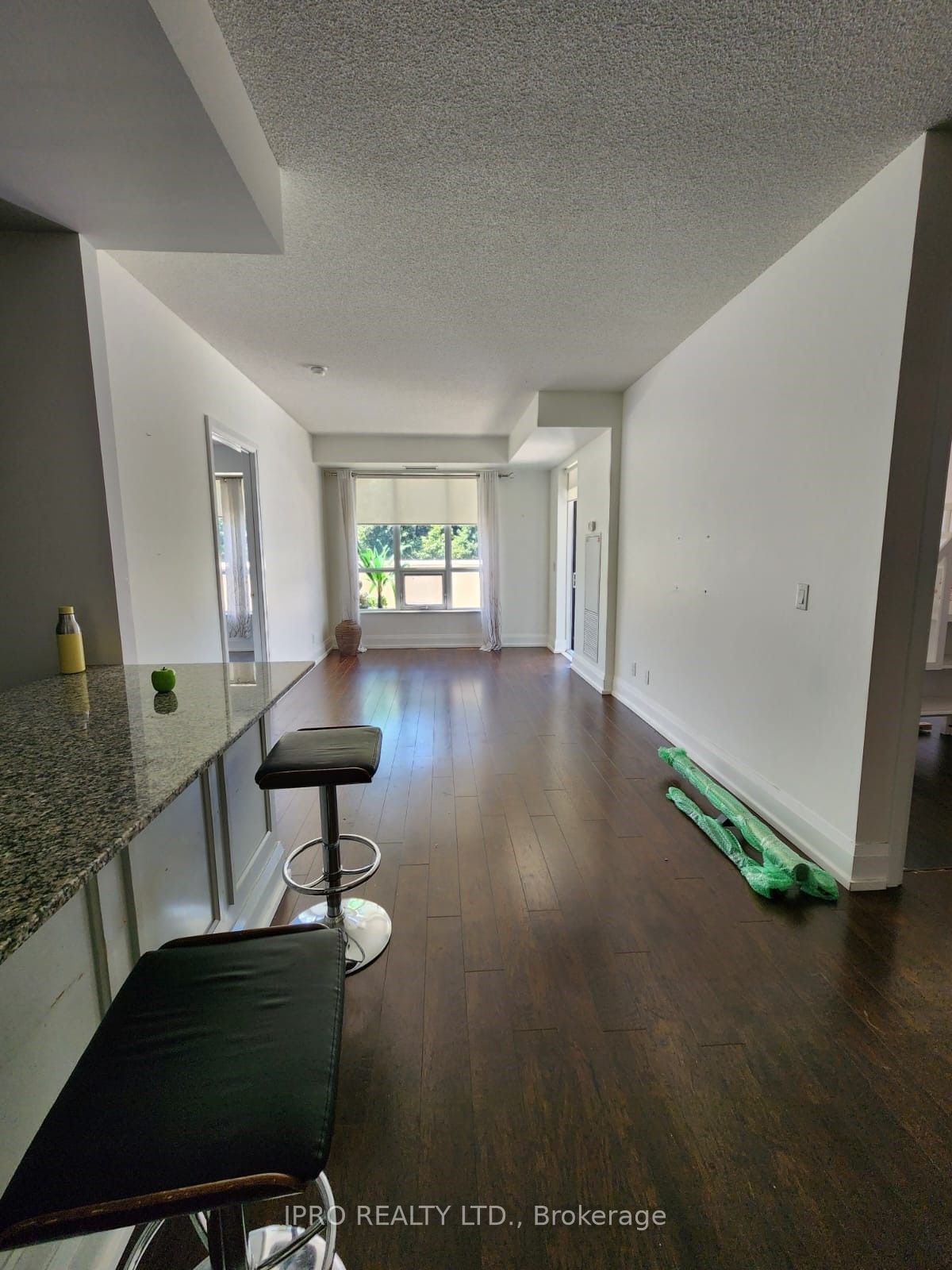 100 Harrison Garden Blvd, unit 202 for rent - image #5