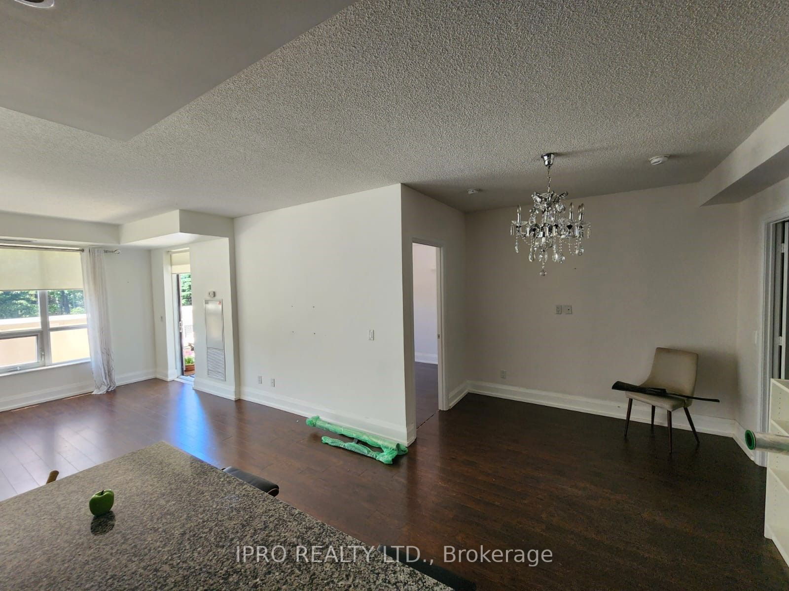 100 Harrison Garden Blvd, unit 202 for rent - image #6