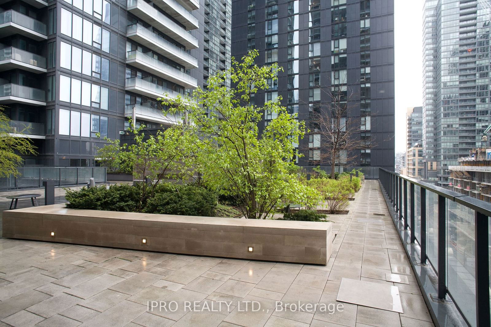 125 Blue Jays Way, unit 1905 for sale - image #28