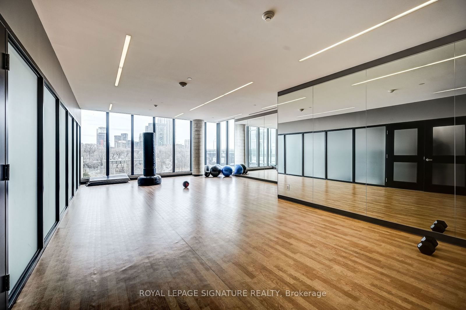 51 East Liberty St, unit 2116 for sale - image #15