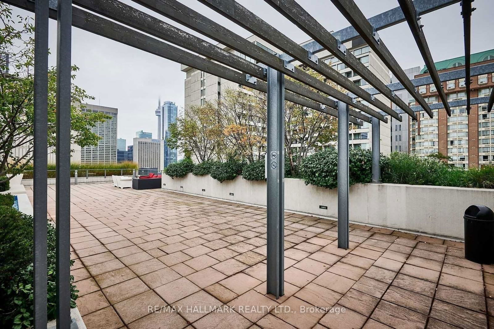 111 Elizabeth St, unit 1115 for rent - image #6