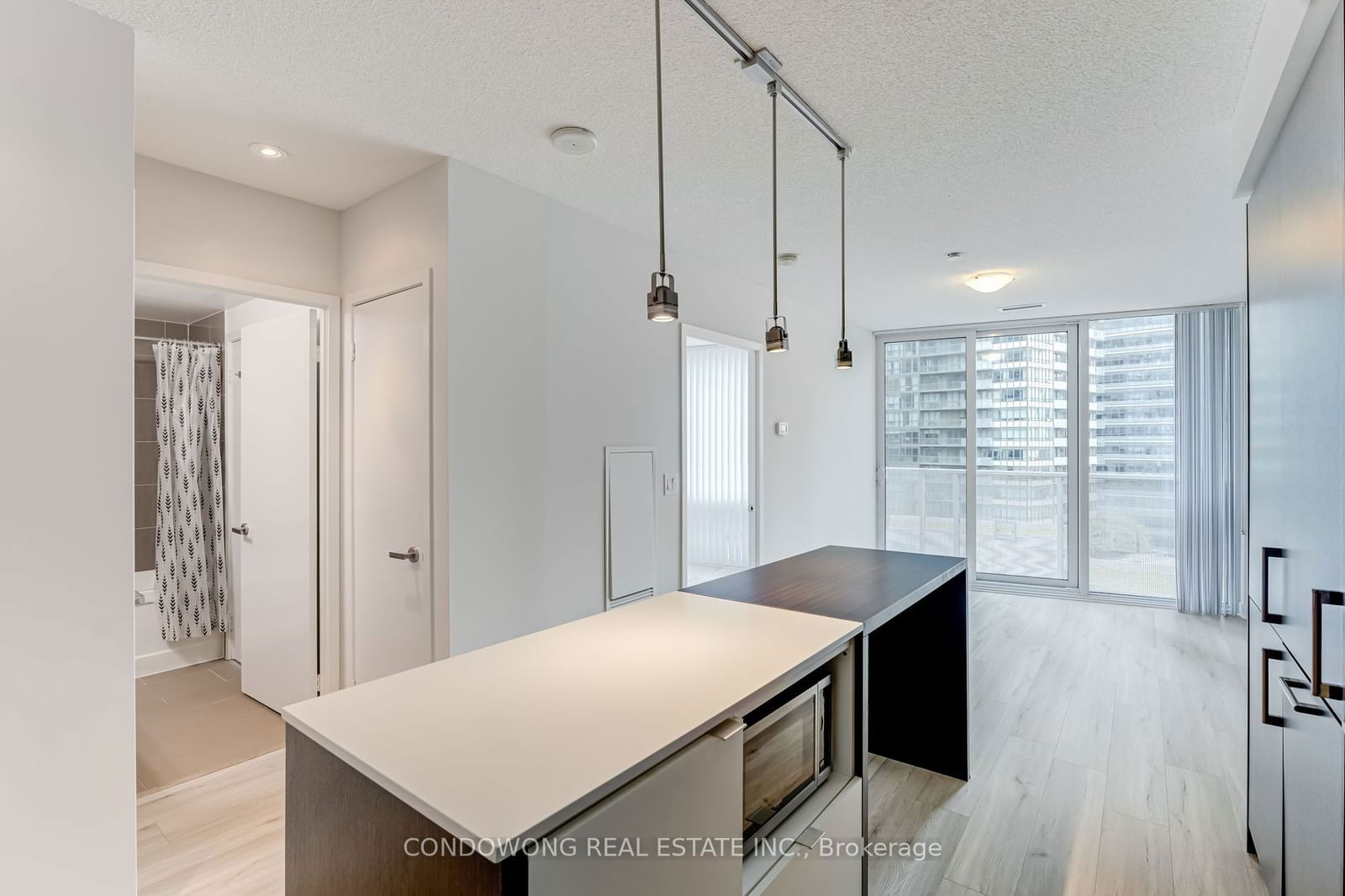 100 Harbour St, unit 1703 for sale - image #6