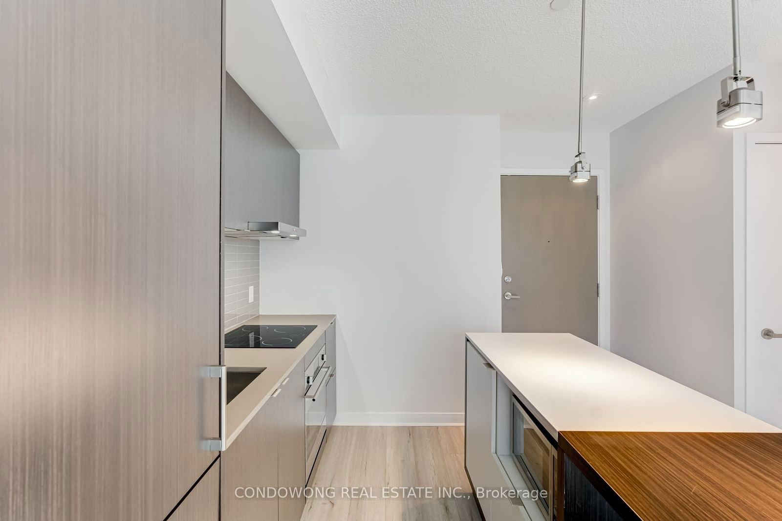 100 Harbour St, unit 1703 for sale - image #8