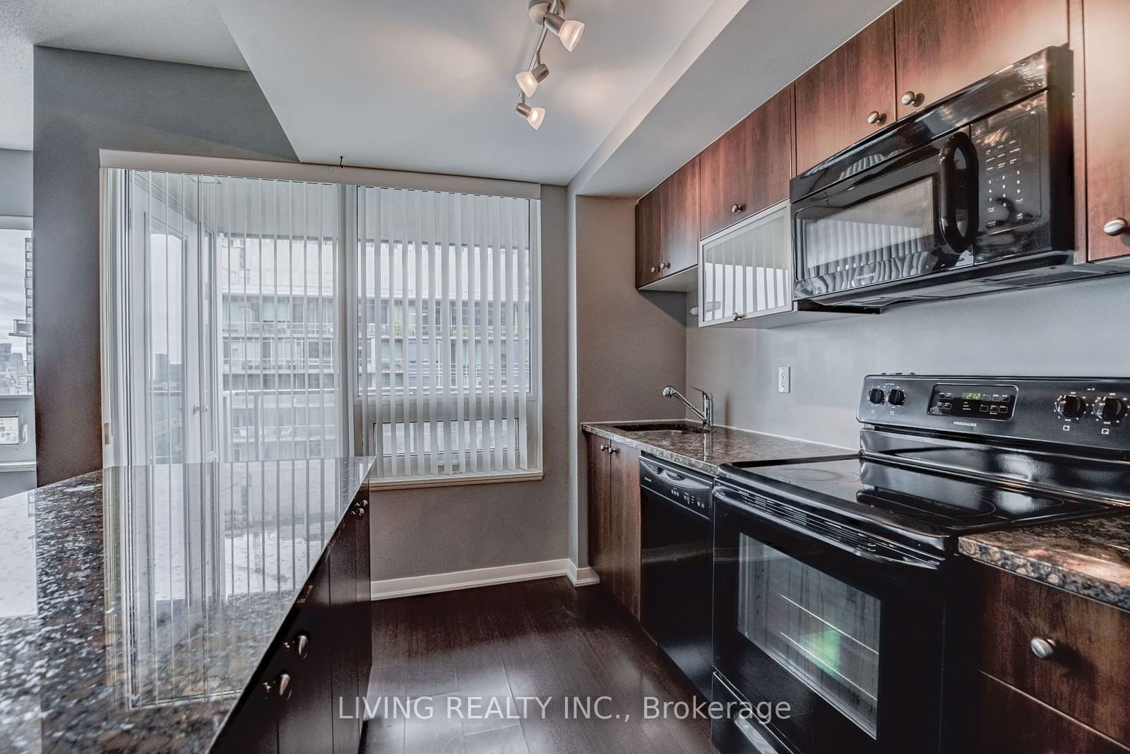 59 East Liberty St, unit 2001 for rent - image #6