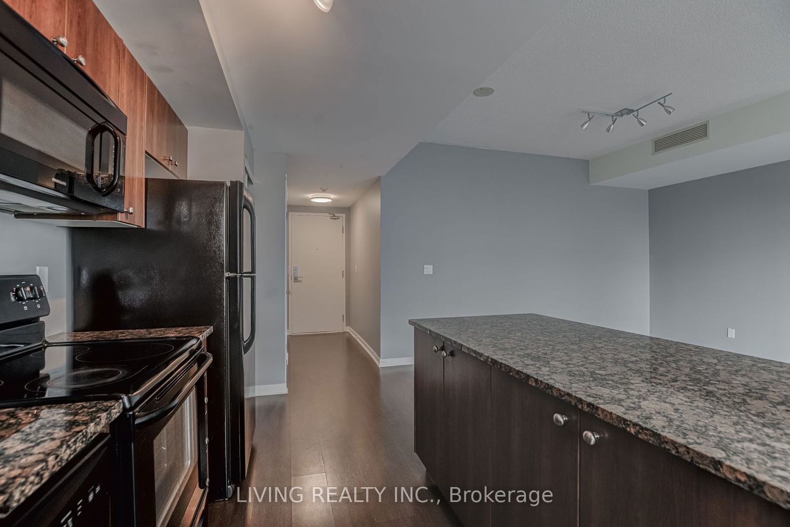 59 East Liberty St, unit 2001 for rent - image #8