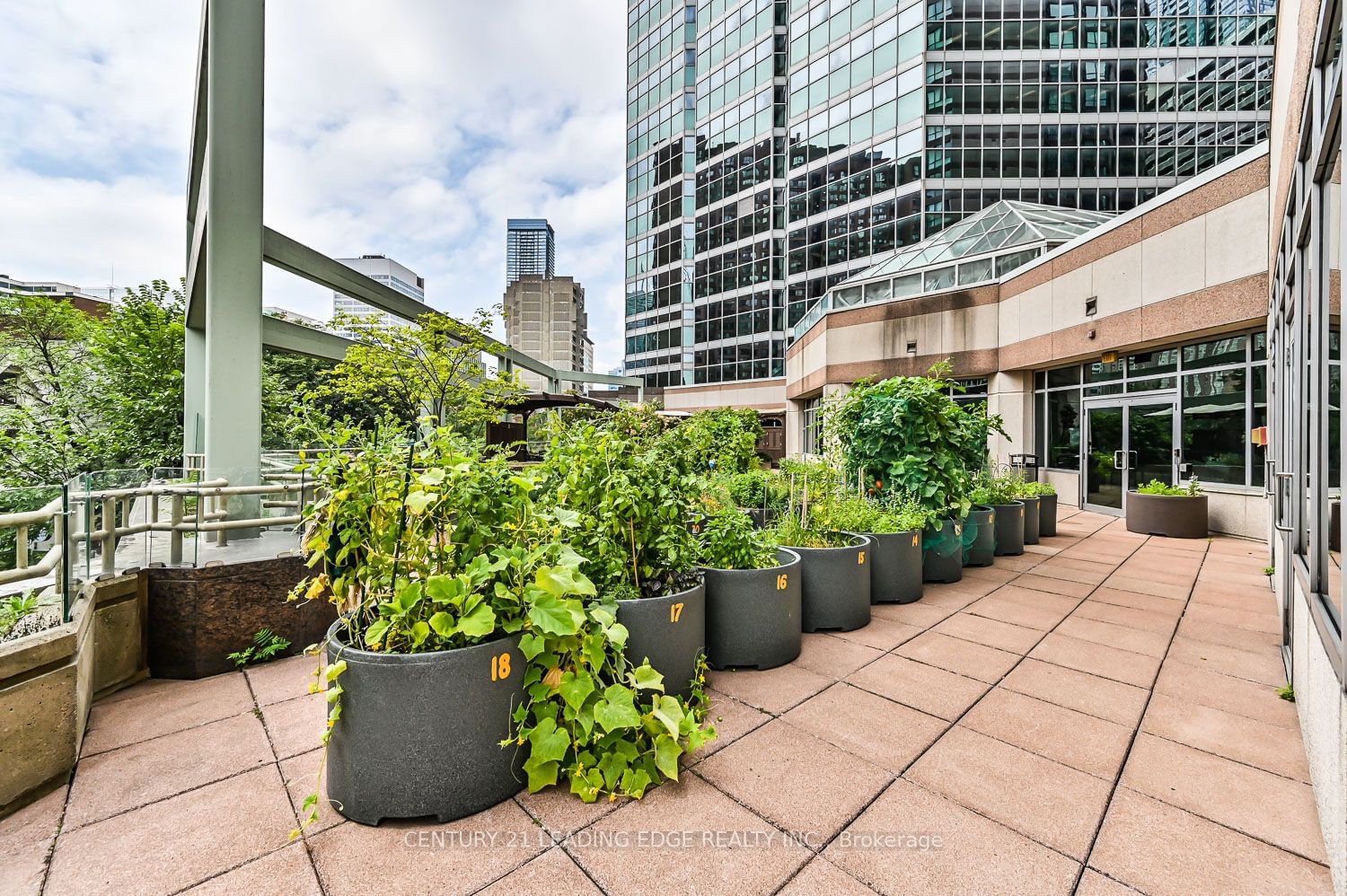 38 Elm St, unit 3112 for sale - image #28