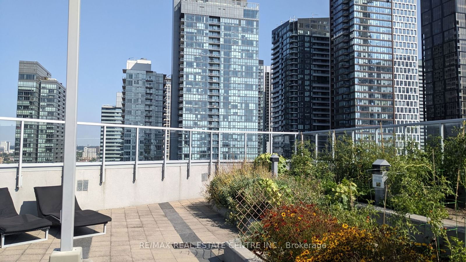 352 Front St W, unit 1108 for rent - image #23