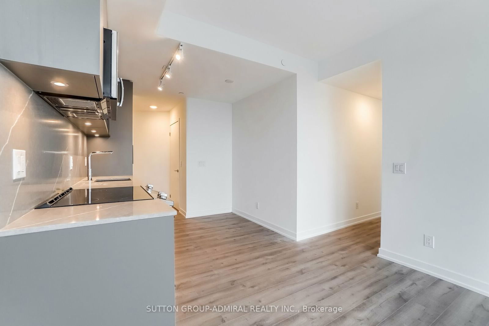 135 East Liberty St, unit 1003 for sale - image #6