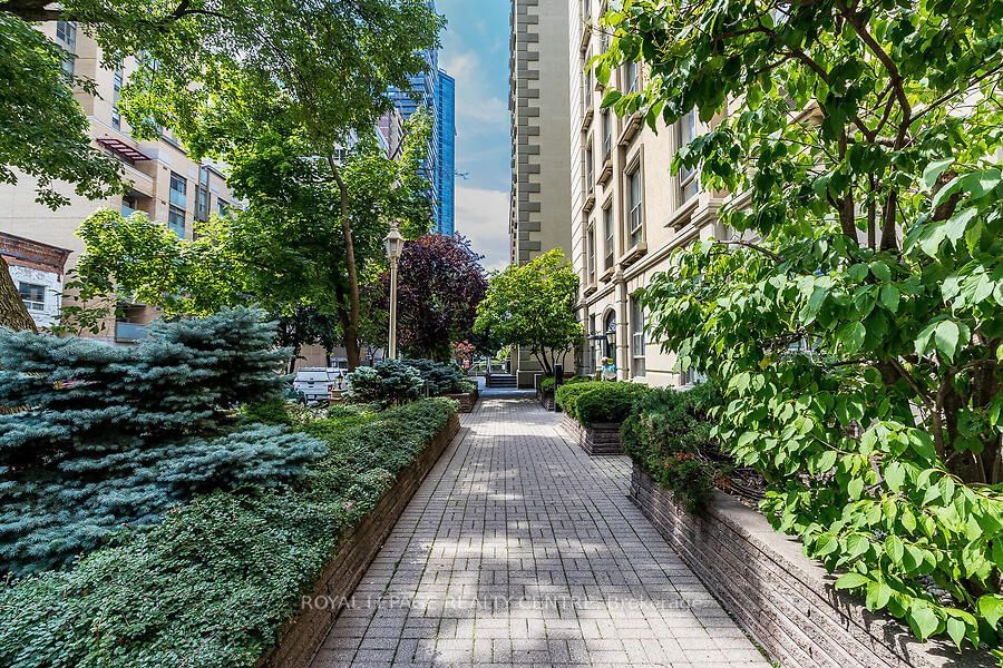 88 Charles St E, unit 204 for sale - image #5