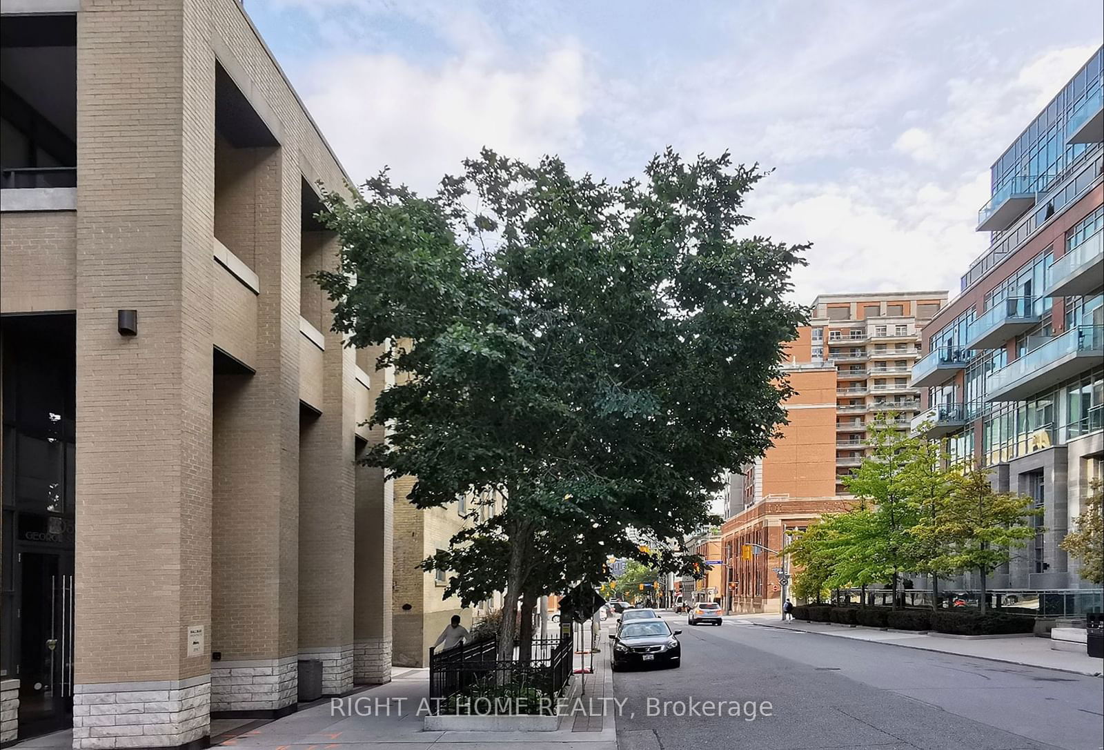 105 George St, unit 1012 for rent