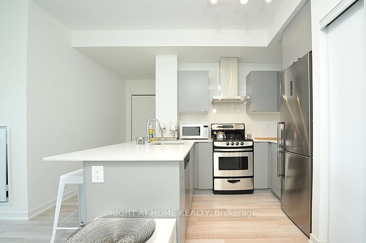 51 East Liberty St, unit 1311 for sale - image #5